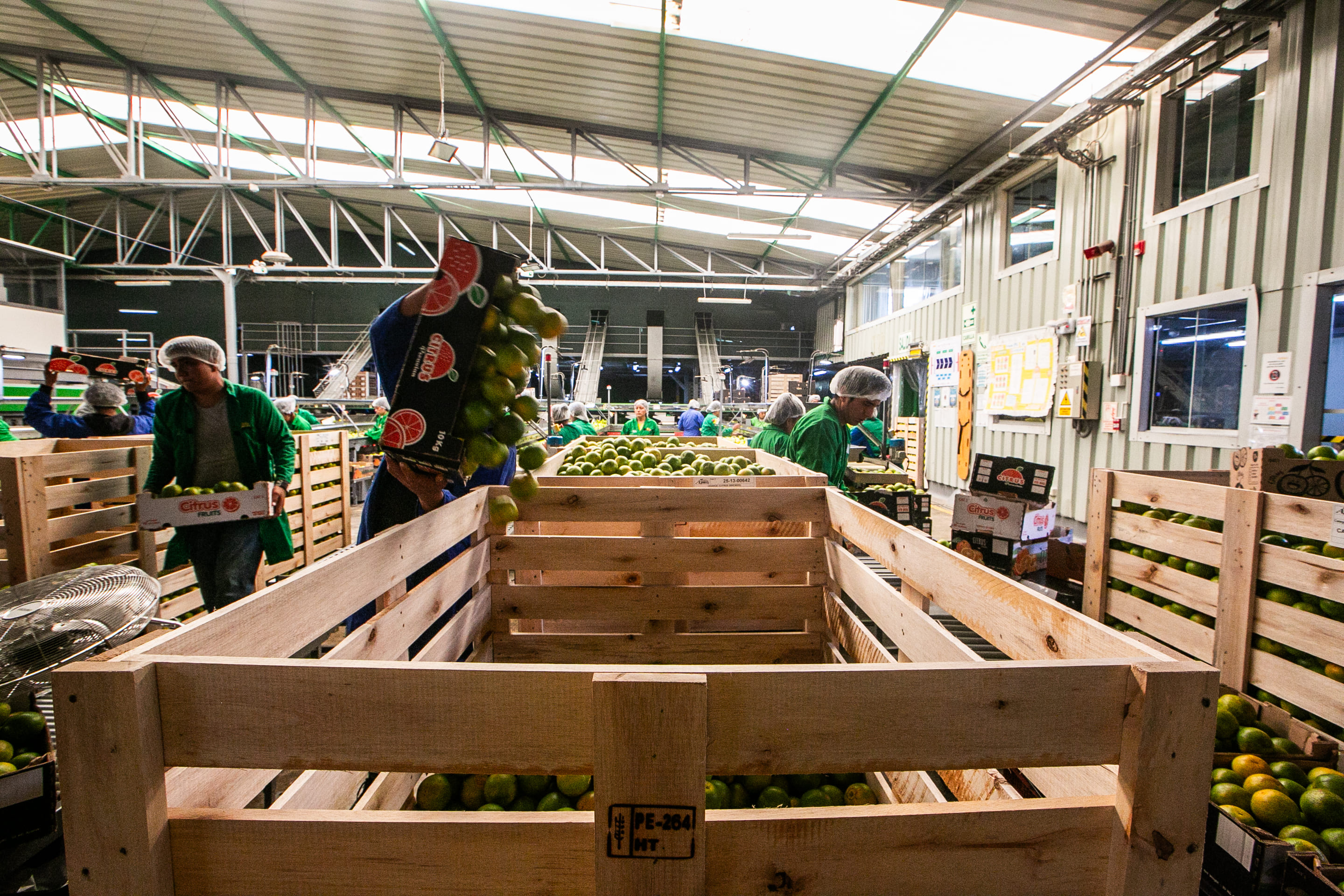 Citrus processing facility